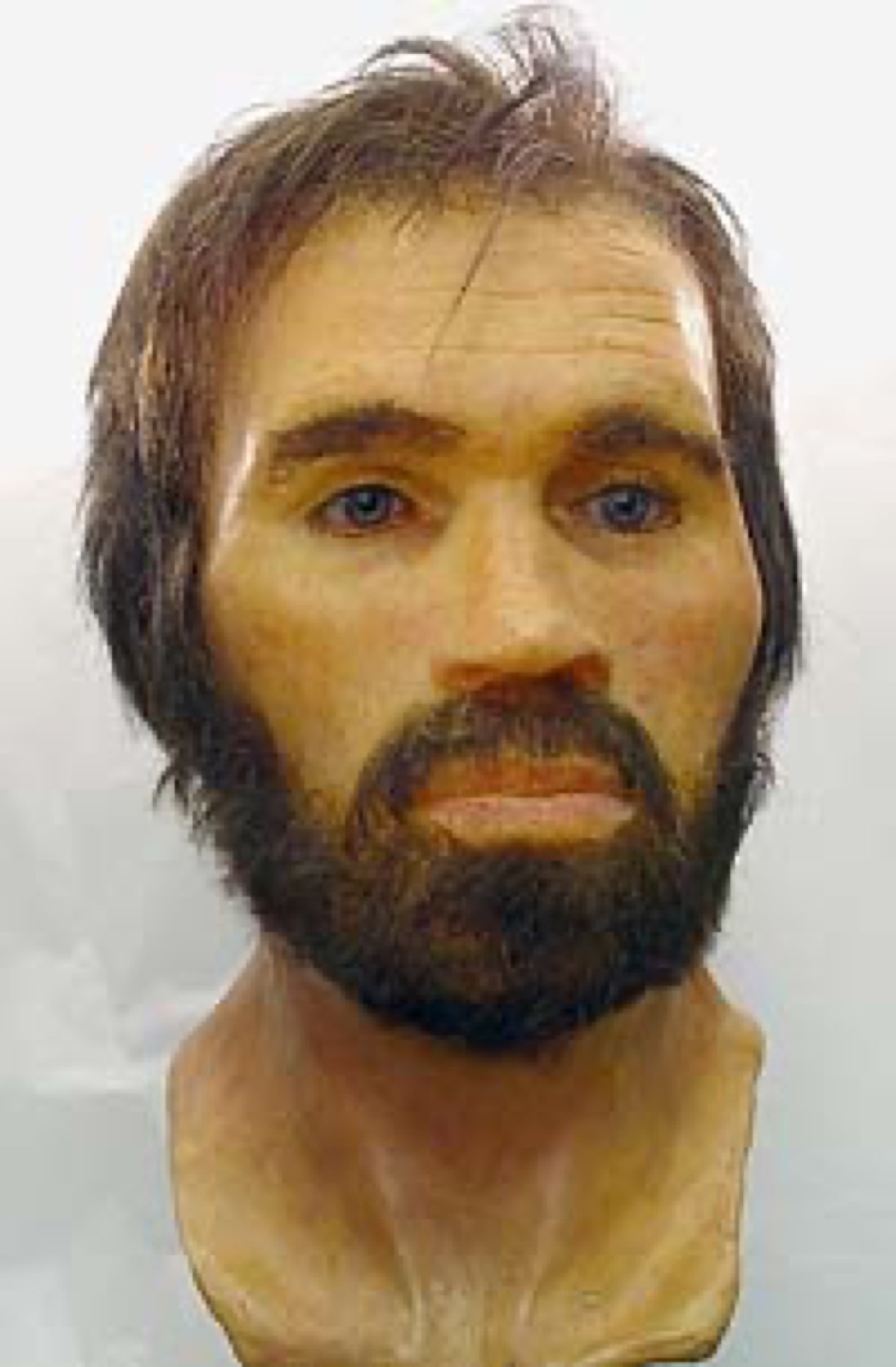 Lindow Man, forensic facial reconstruction held at the British Museum